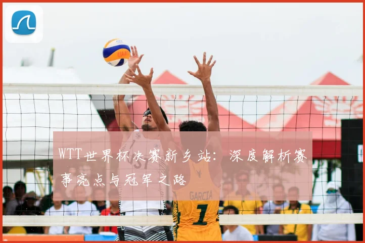 WTT世界杯决赛新乡站：深度解析赛事亮点与冠军之路