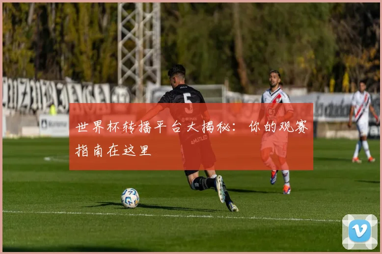 世界杯转播平台大揭秘：你的观赛指南在这里