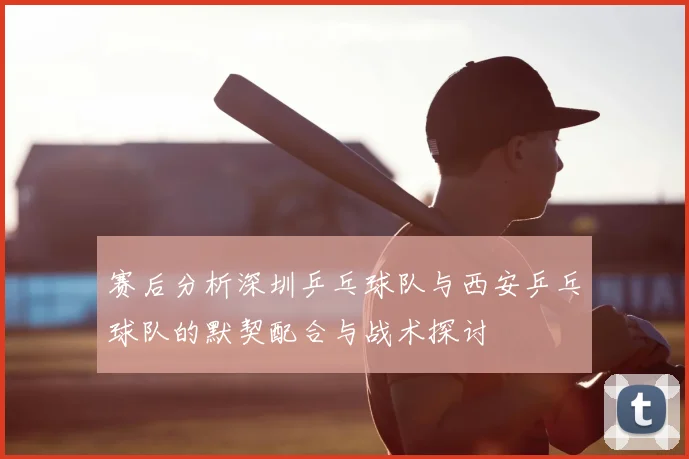 赛后分析深圳乒乓球队与西安乒乓球队的默契配合与战术探讨