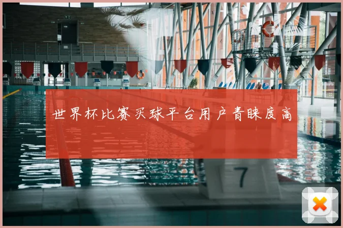 世界杯比赛买球平台用户青睐度高