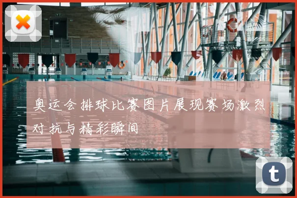 奥运会排球比赛图片展现赛场激烈对抗与精彩瞬间