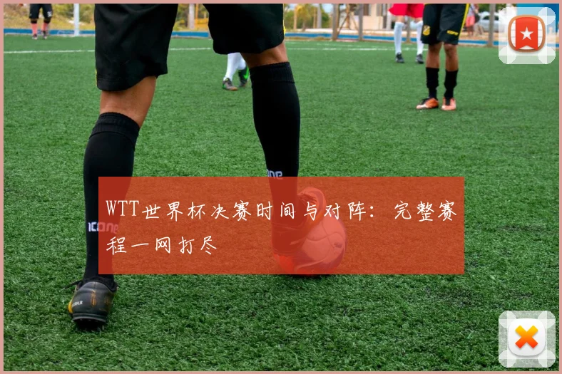 WTT世界杯决赛时间与对阵:完整赛程一网打尽