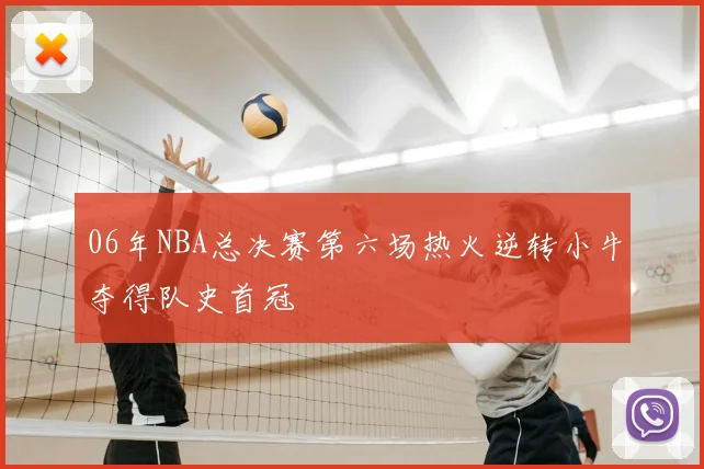 06年NBA总决赛第六场热火逆转小牛夺得队史首冠