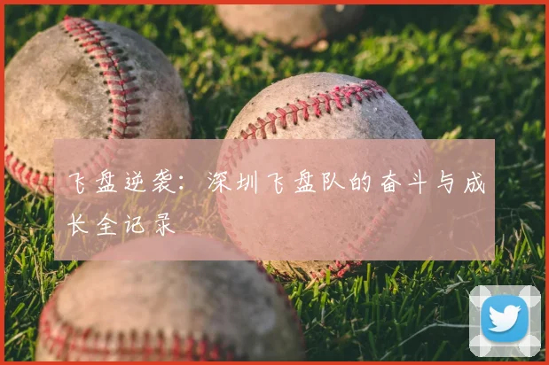 飞盘逆袭:深圳飞盘队的奋斗与成长全记录