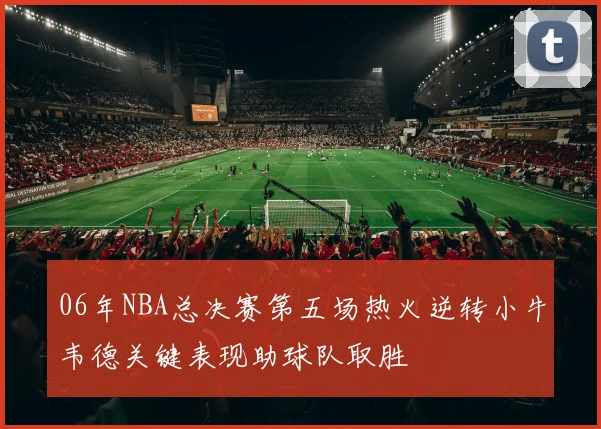 06年NBA总决赛第五场热火逆转小牛韦德关键表现助球队取胜