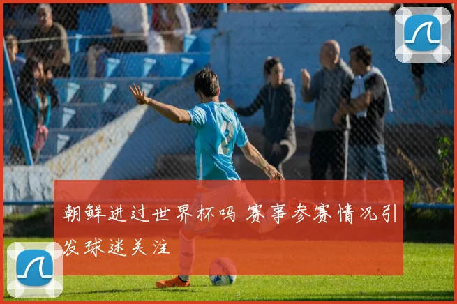 朝鲜进过世界杯吗 赛事参赛情况引发球迷关注
