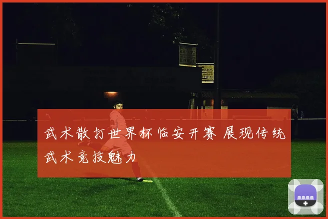 武术散打世界杯临安开赛 展现传统武术竞技魅力