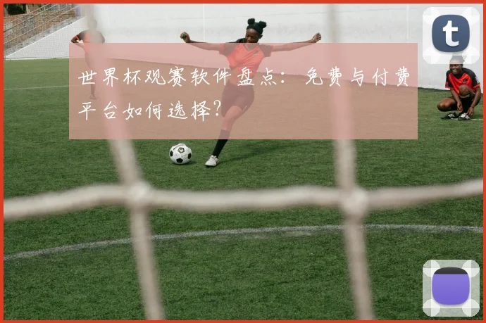 世界杯观赛软件盘点：免费与付费平台如何选择？
