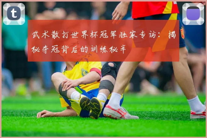 武术散打世界杯冠军独家专访:揭秘夺冠背后的训练秘辛