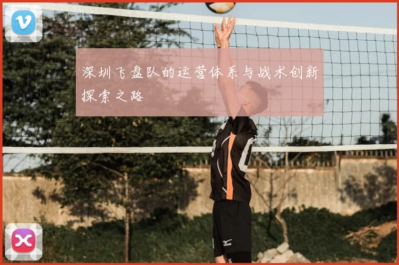 深圳飞盘队的运营体系与战术创新探索之路
