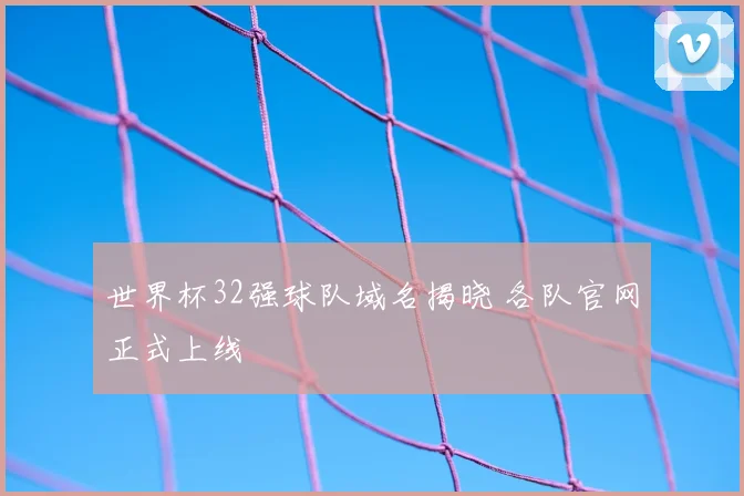 世界杯32强球队域名揭晓 各队官网正式上线