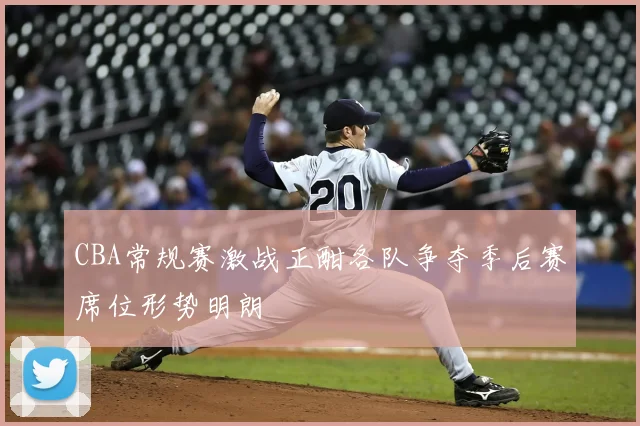 CBA常规赛激战正酣各队争夺季后赛席位形势明朗