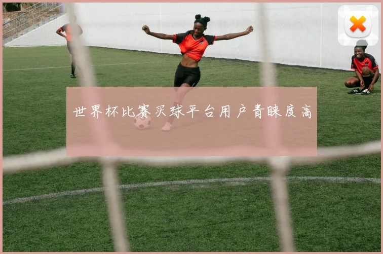 世界杯比赛买球平台用户青睐度高