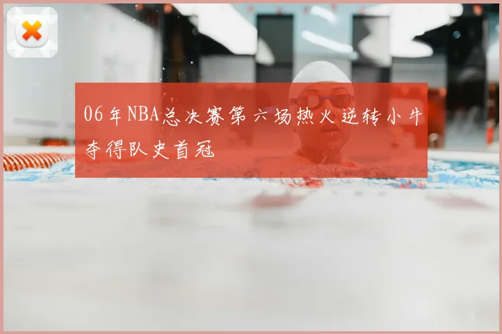 06年NBA总决赛第六场热火逆转小牛夺得队史首冠