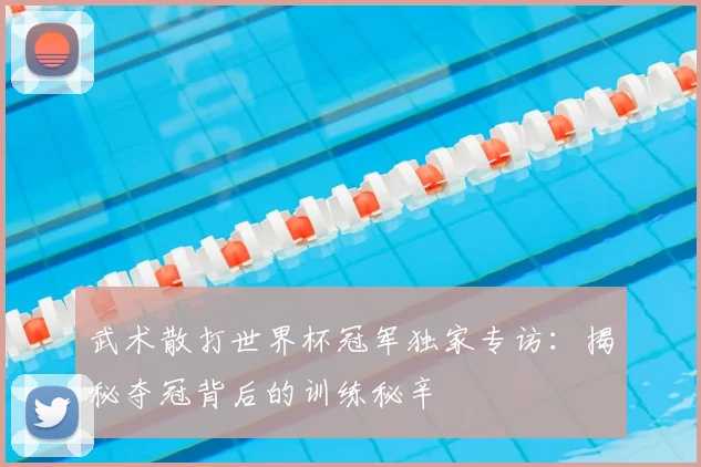 武术散打世界杯冠军独家专访：揭秘夺冠背后的训练秘辛